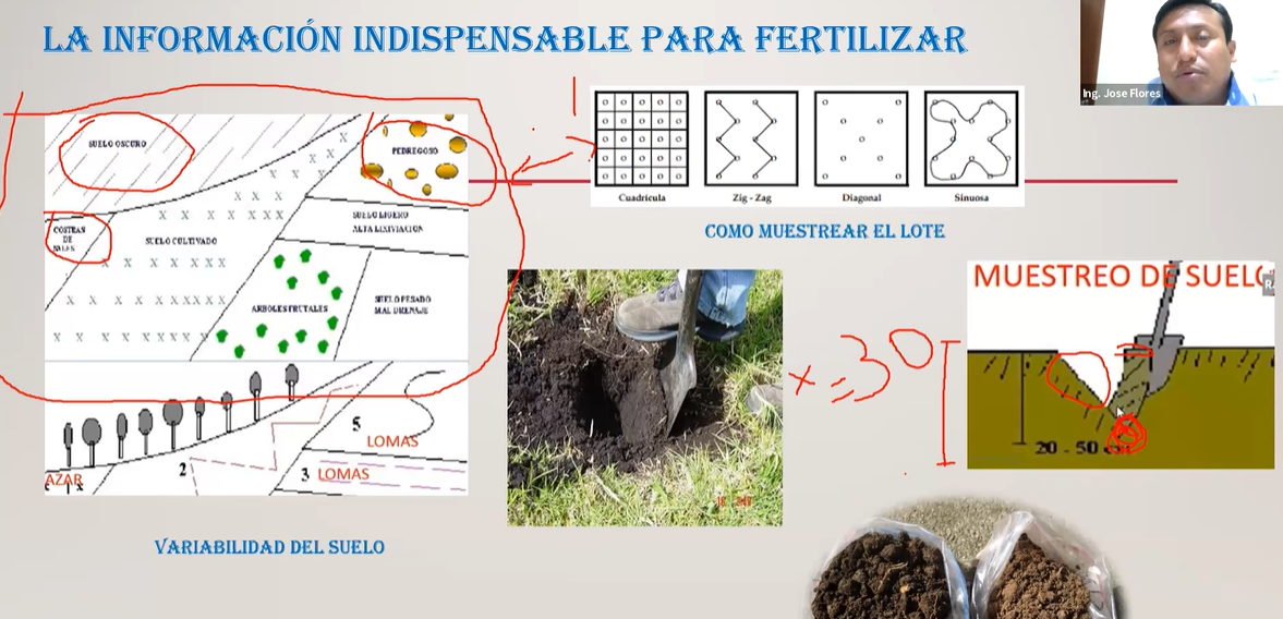 Fertilización y polinización en Paltos